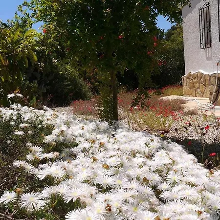 Villa Independiente Con Encanto Piscina Privada Vallada Jardin Vallado Calpe